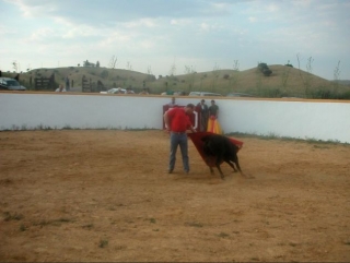 Un valiente que salta al ruedo